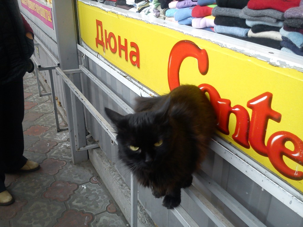 Кому тёплые носочки?!...