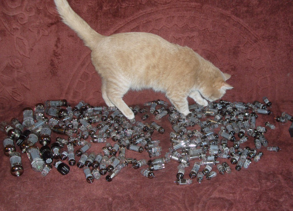 Обратно к лампам! Обратно к лампам!