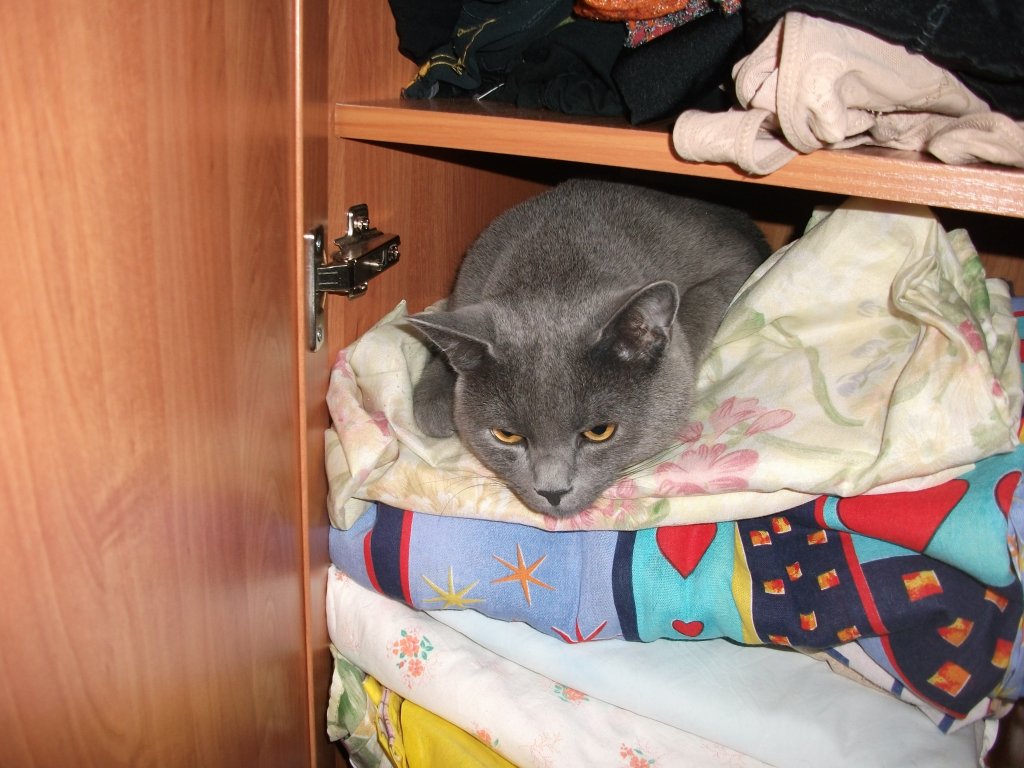 Что-б ещё такое спаять? Что-б ещё такое спаять?